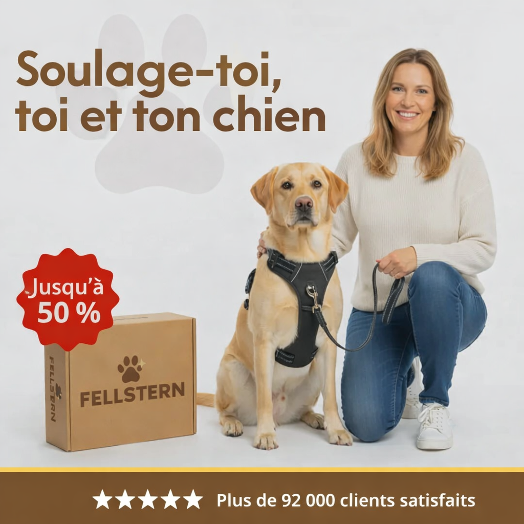 Fallstern