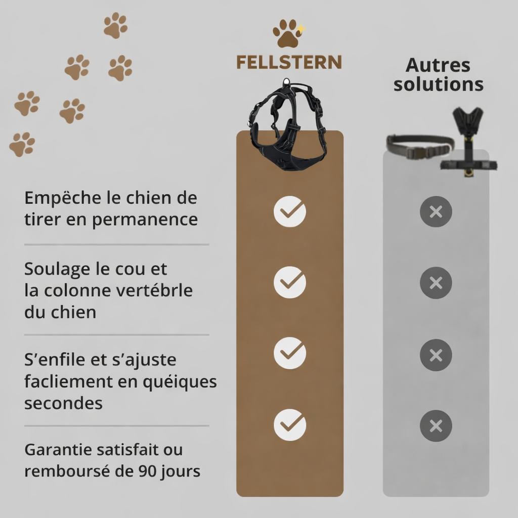 Fallstern